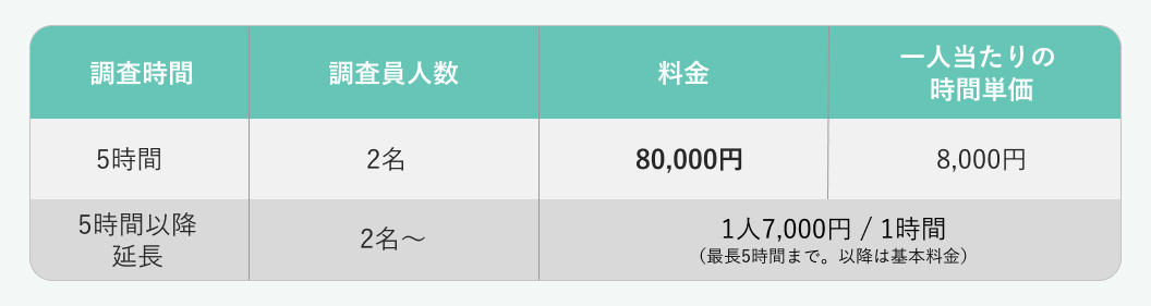 ピンポイント調査プラン内容